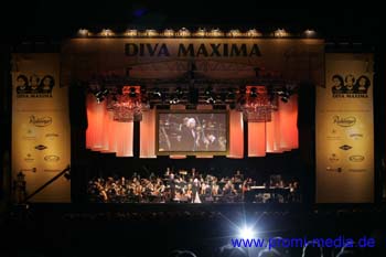 DAVIDS_Diva Maxima_U9A4791