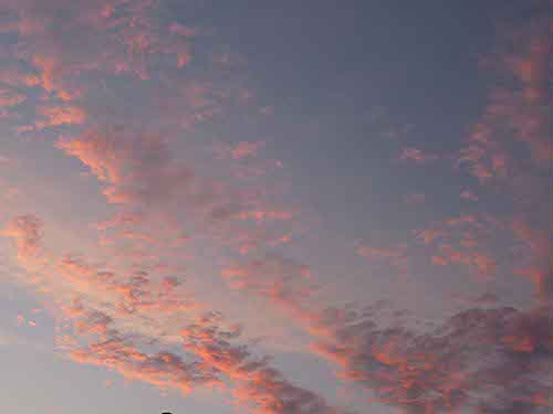 P1010934